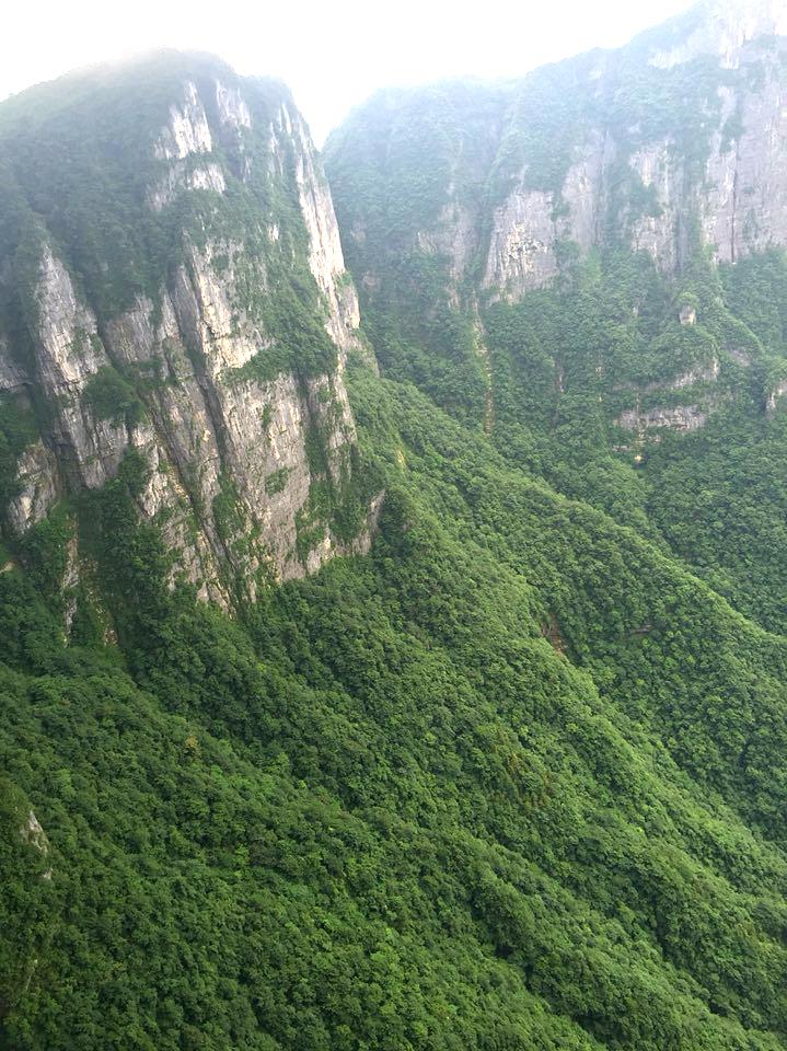 霸王岭国家自然保护区