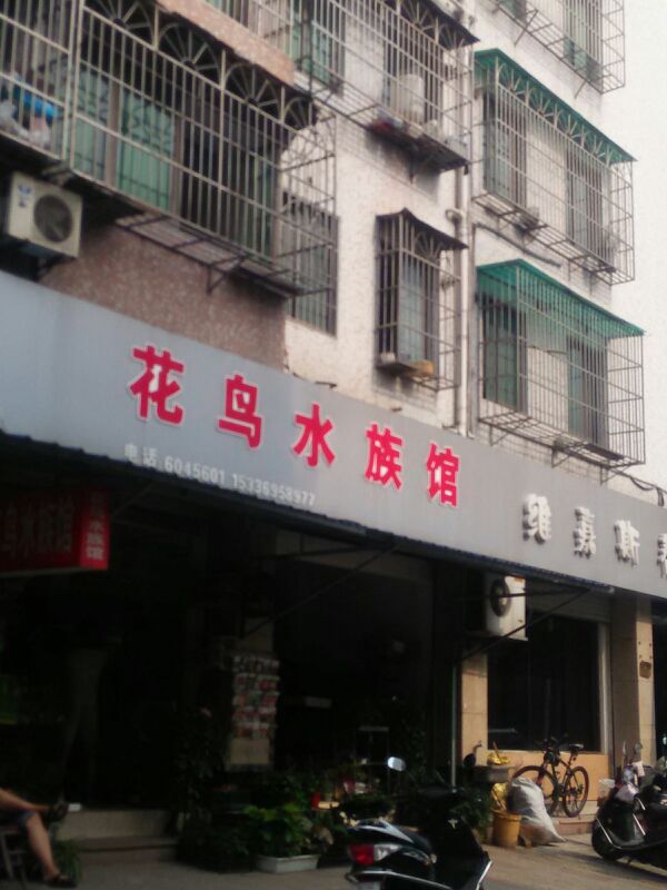 花鸟水族管