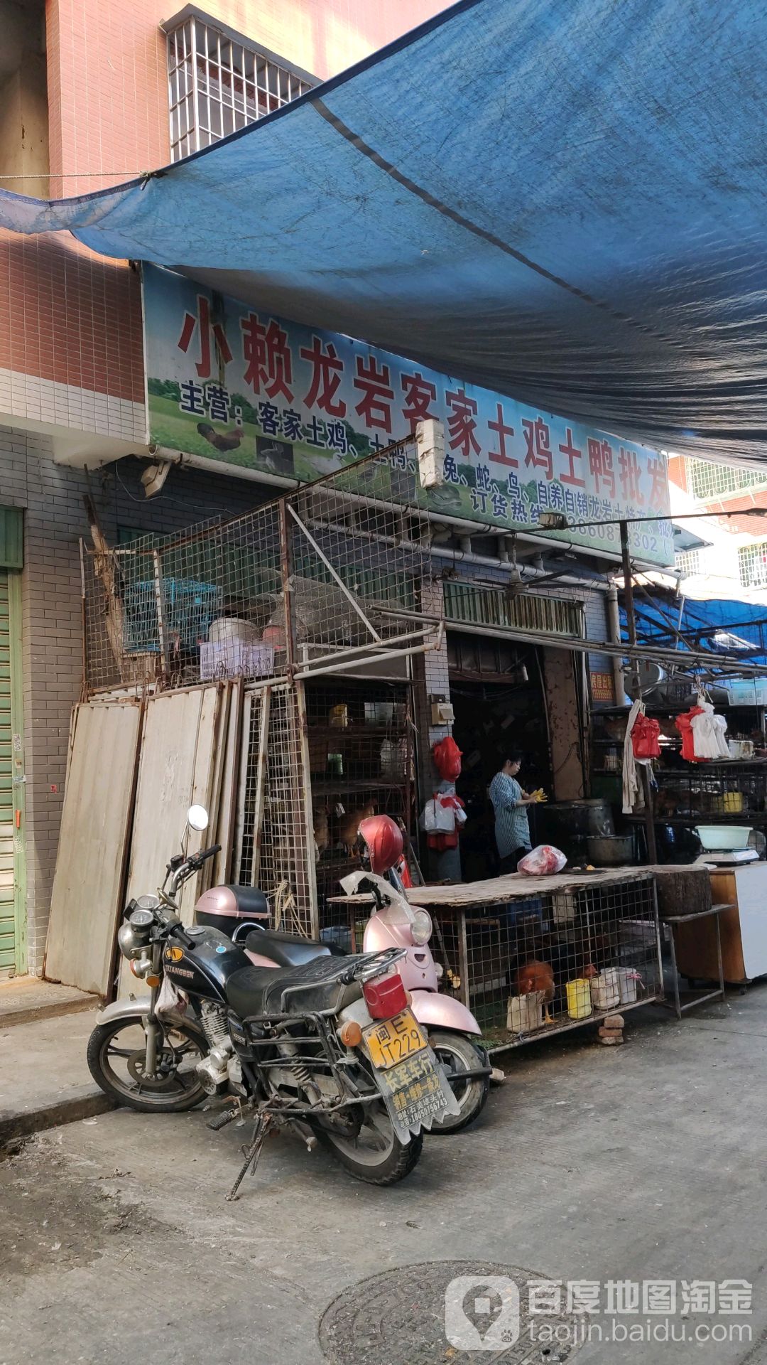 龙炎客家小赖土鸡土鸭批发