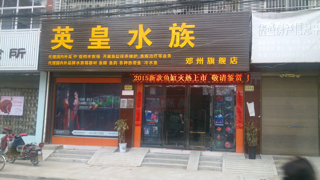 邓州市英皇水族(邓州旗舰店)