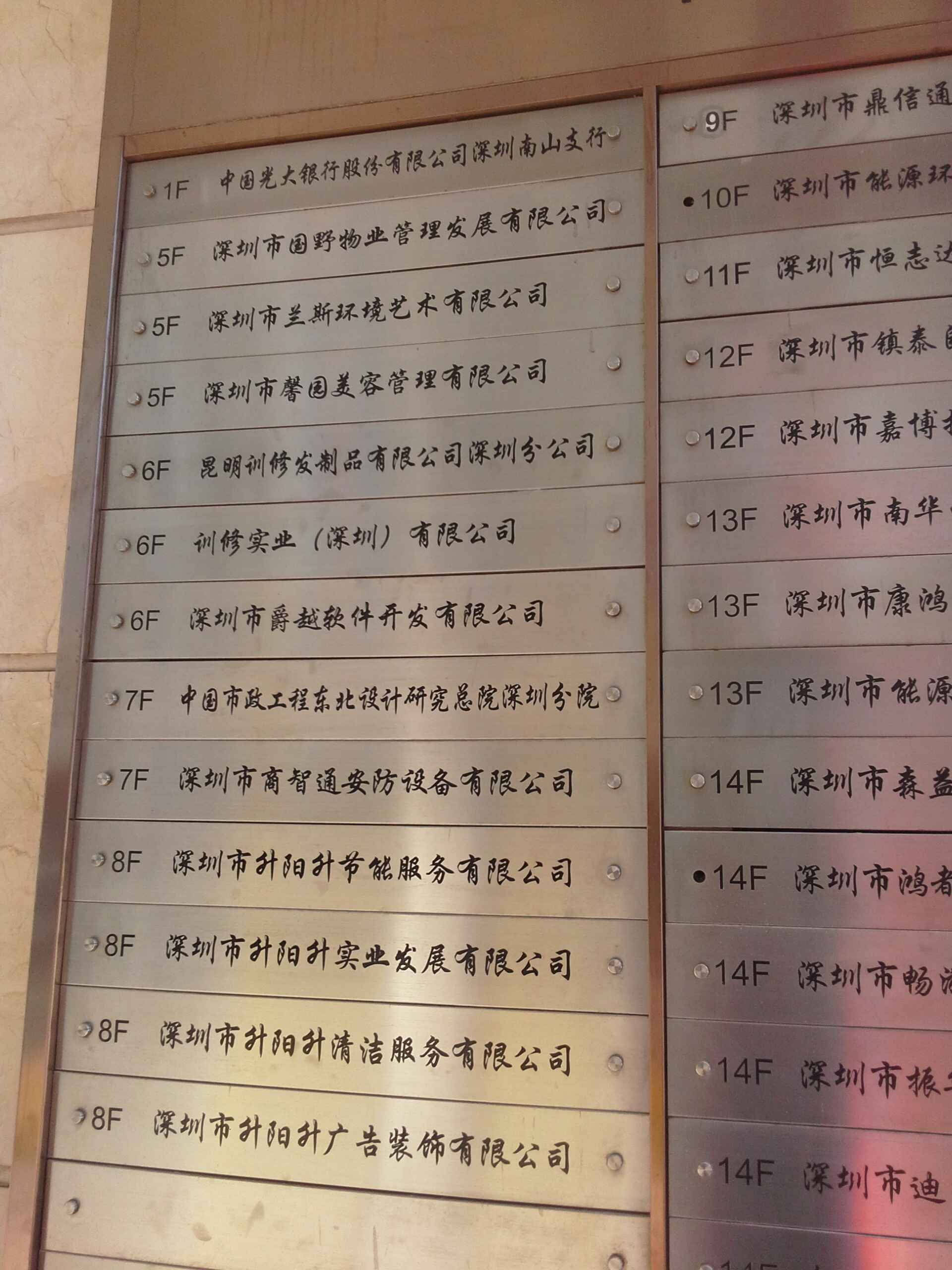 深圳市国野股份有限公司