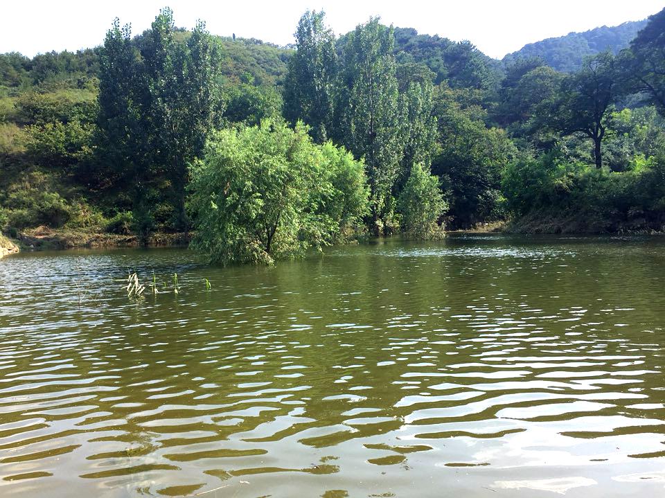 朝阳寺生态旅游景景区