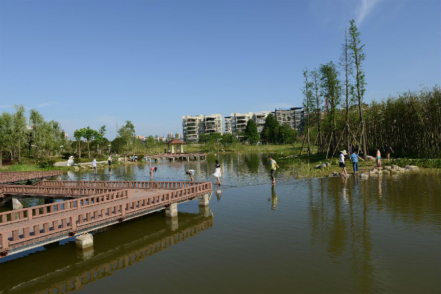 白鹭湿地公园