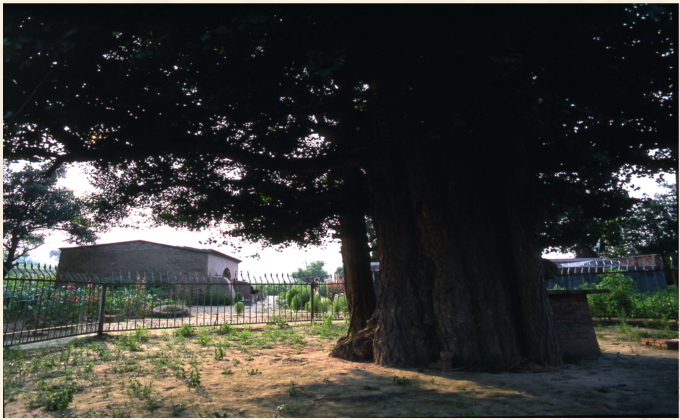 白鹿寺