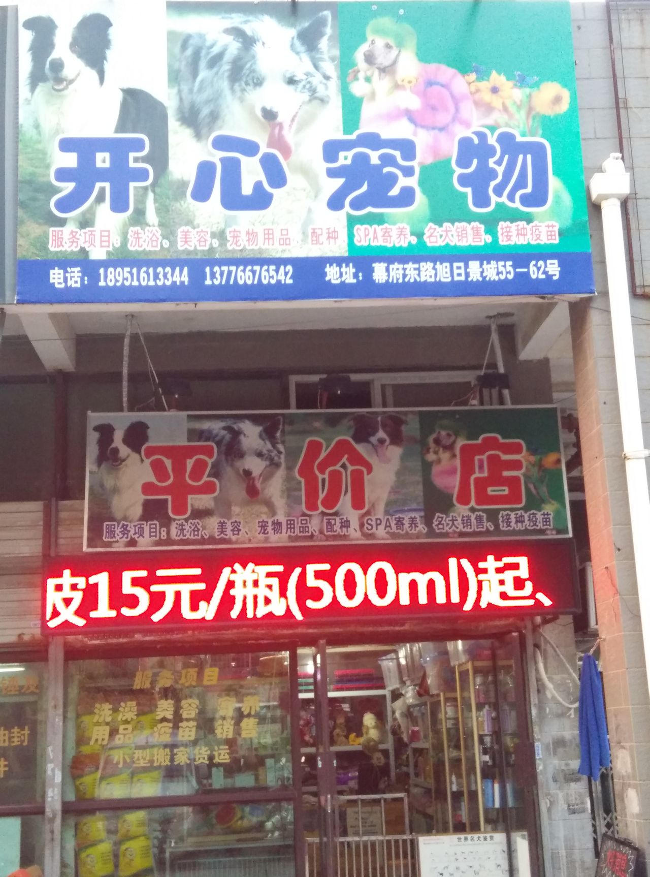 南京市鼓楼区开学宠物用品销售部(旭日景城)