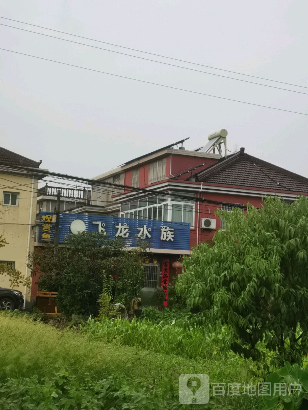 飞泷水族