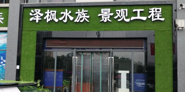 重庆市泽枫水族(渝高两江花木古玩市场店)