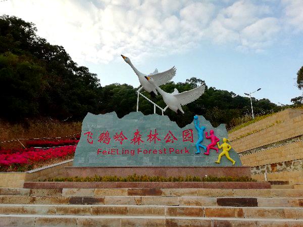 东平镇飞鹅岭森林公园