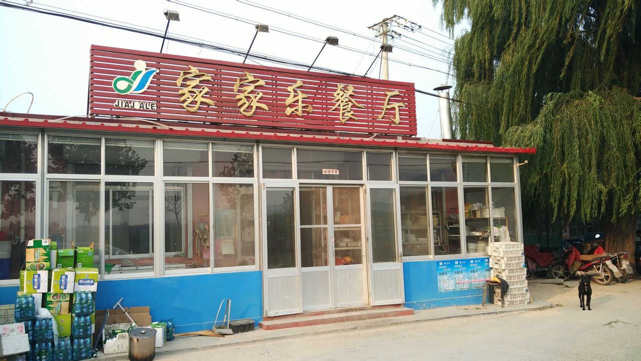 店子镇文化路下洄村