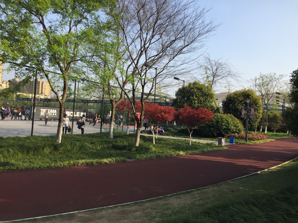 杭州城北体育公-室外运动场