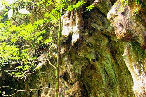 狮朝洞_惠州_百度地图