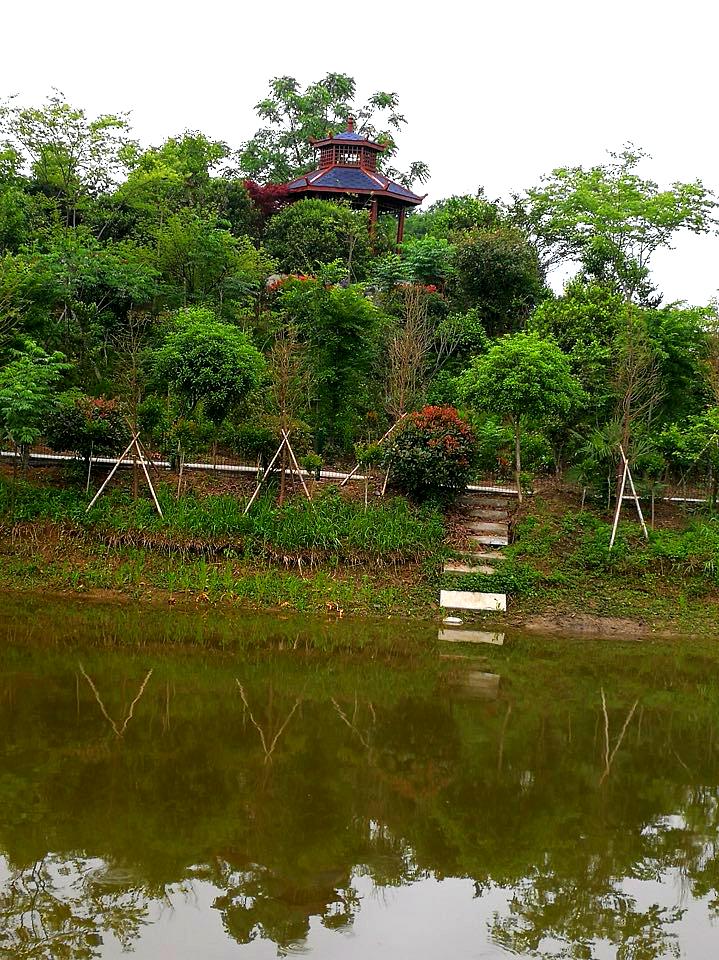 湖北潜江青龙沟植物园