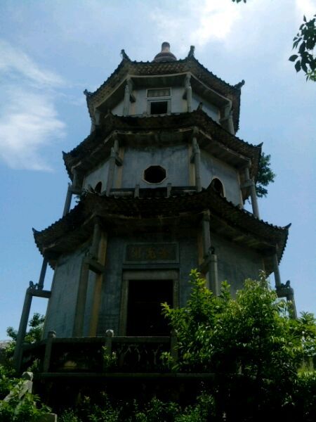 葵阳公园