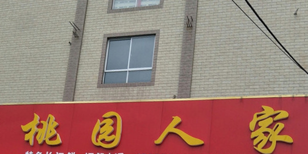 桃园家人