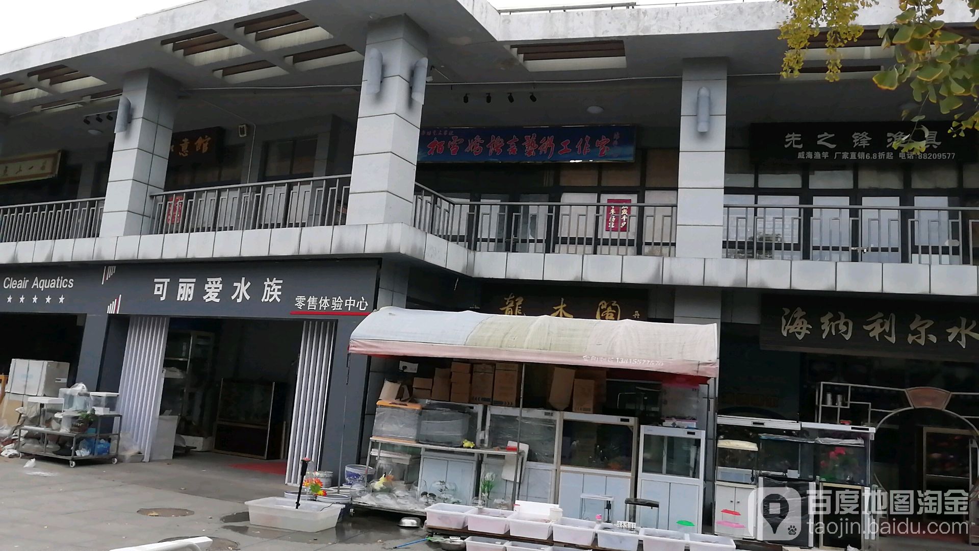 可丽爱水景(盐城市黄海路花鸟市场店)