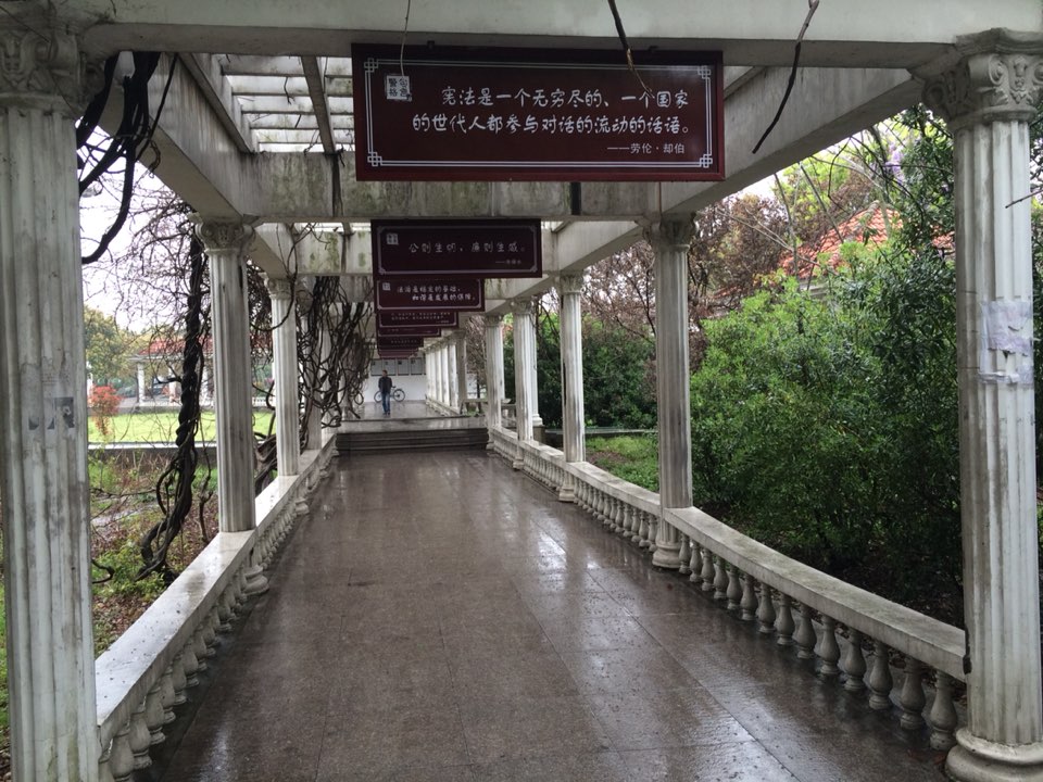 沈师桥公园