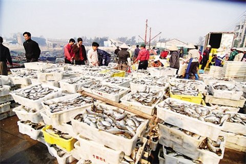 中山北海鲜综合批发市场