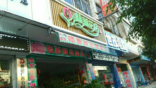 陆xin花店