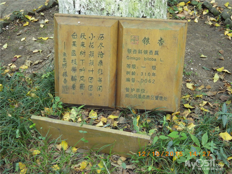 竹林禅寺