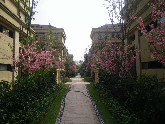 嘉龙国际