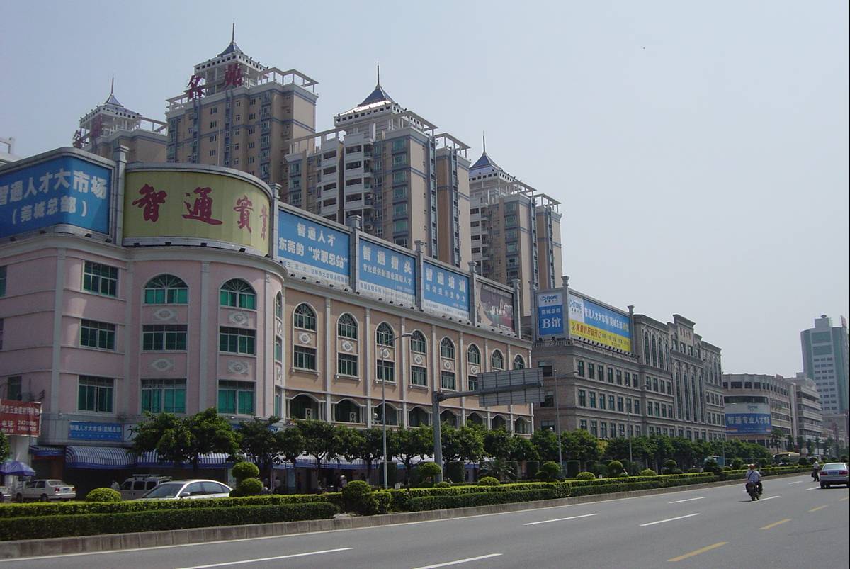 智通直聘
