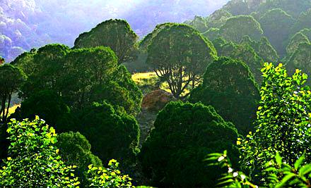 梅力更自然生态风景区