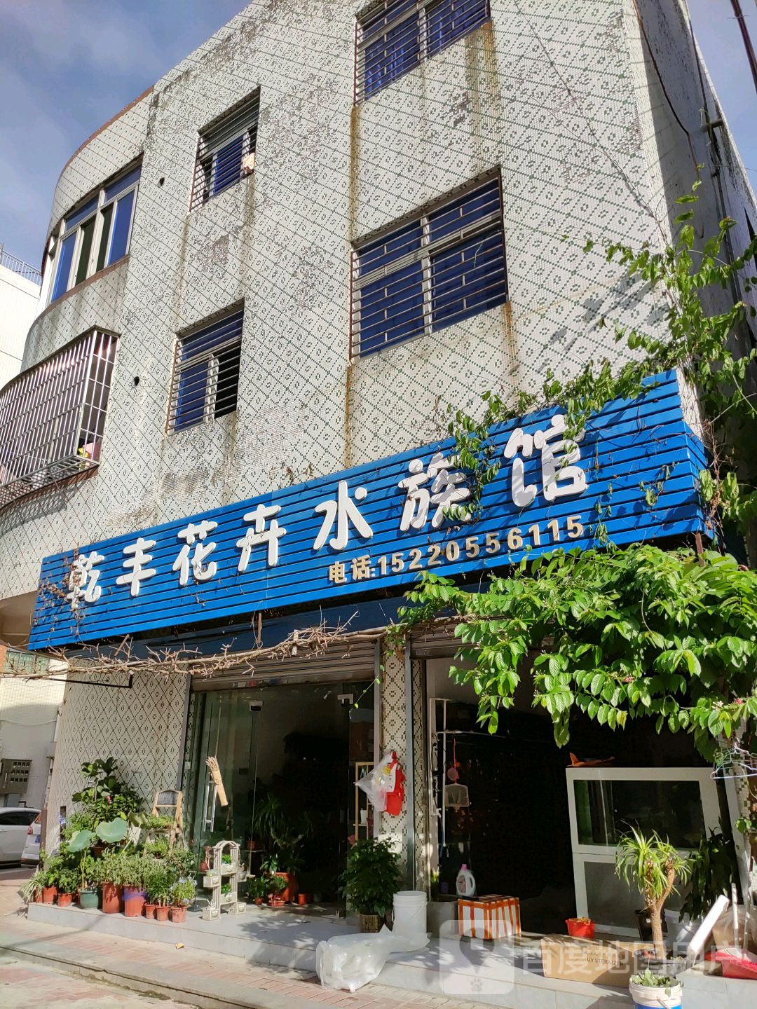 乾务花卉水族馆