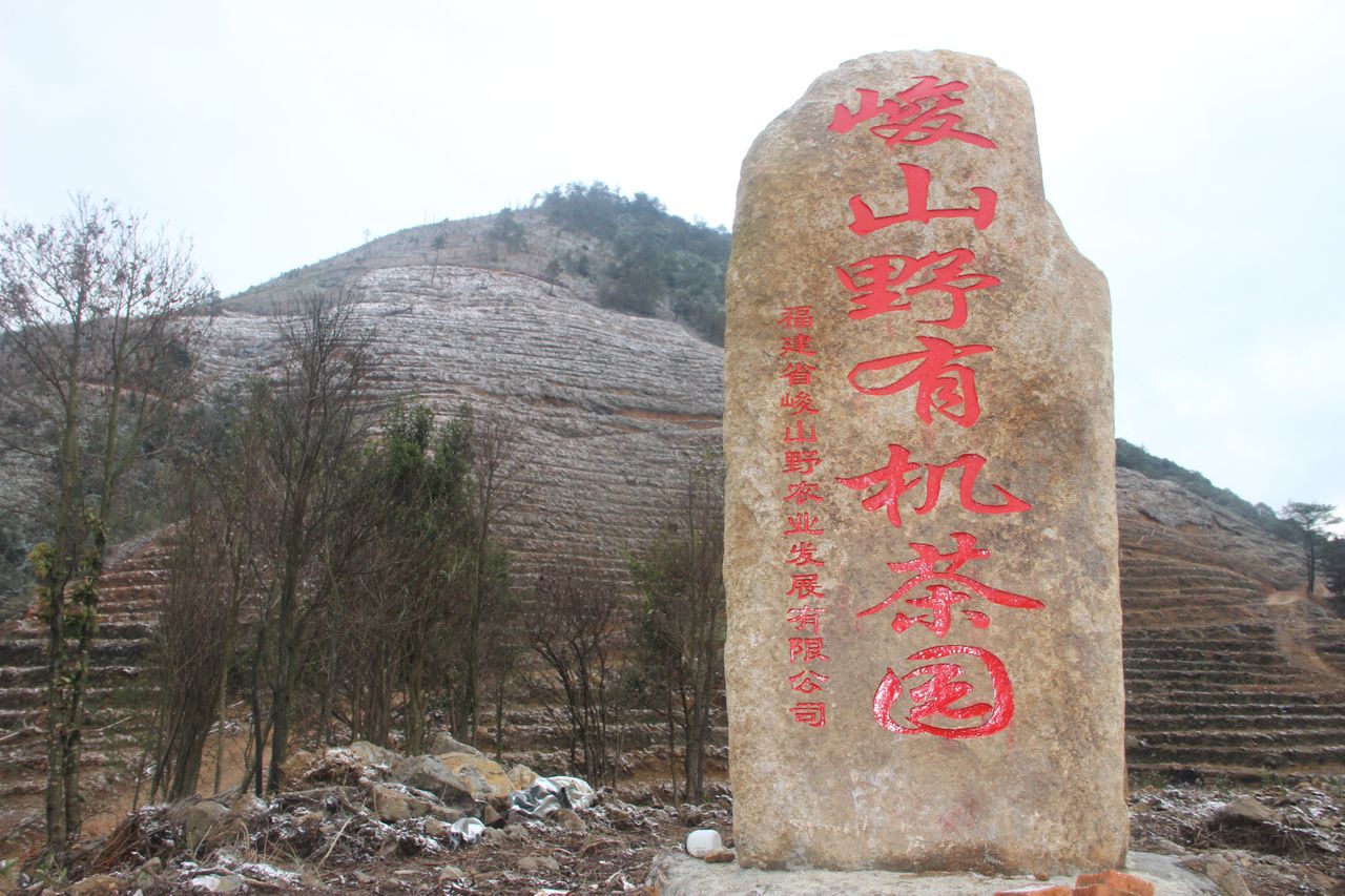 福建省宁德市蕉城区赤溪镇班竹村高山内