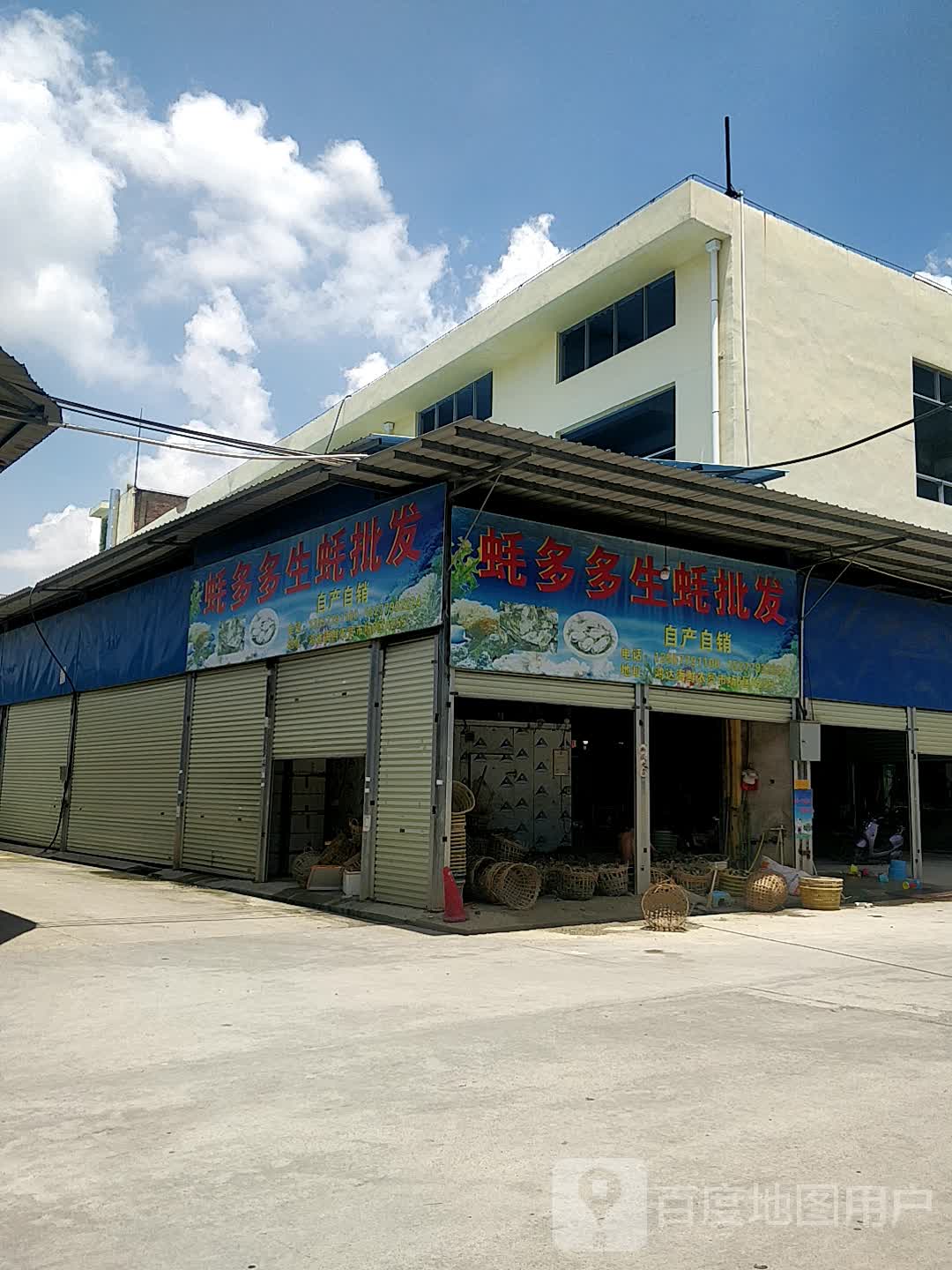 蚝多多生蚝批发(鸿达市场店)