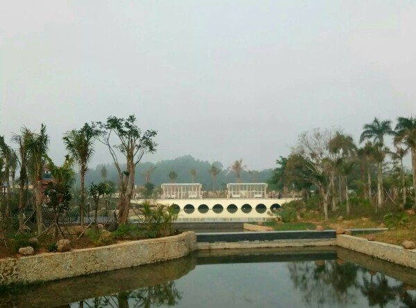 南茶公园