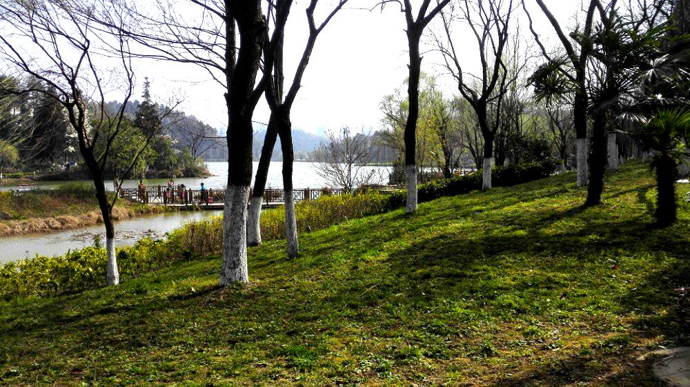 观山公园