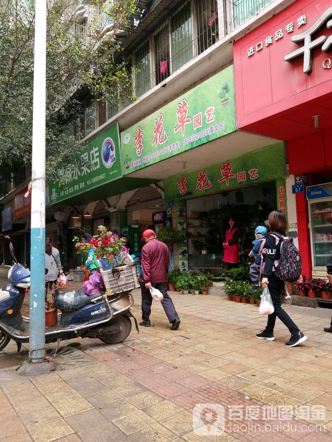 李花草园艺