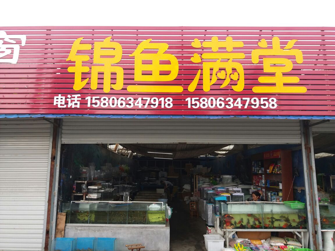济南市莱芜区锦鱼满堂水族馆