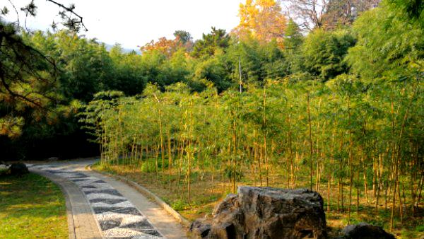 国家植物园北园-集秀园