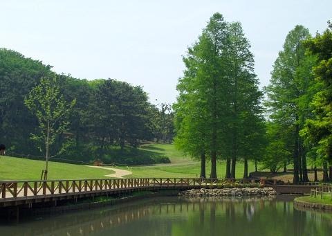 介休汾河国际湿地公园