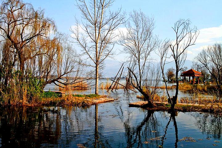 观鸟岛湿地公园