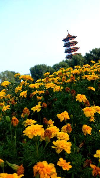 梅河公园