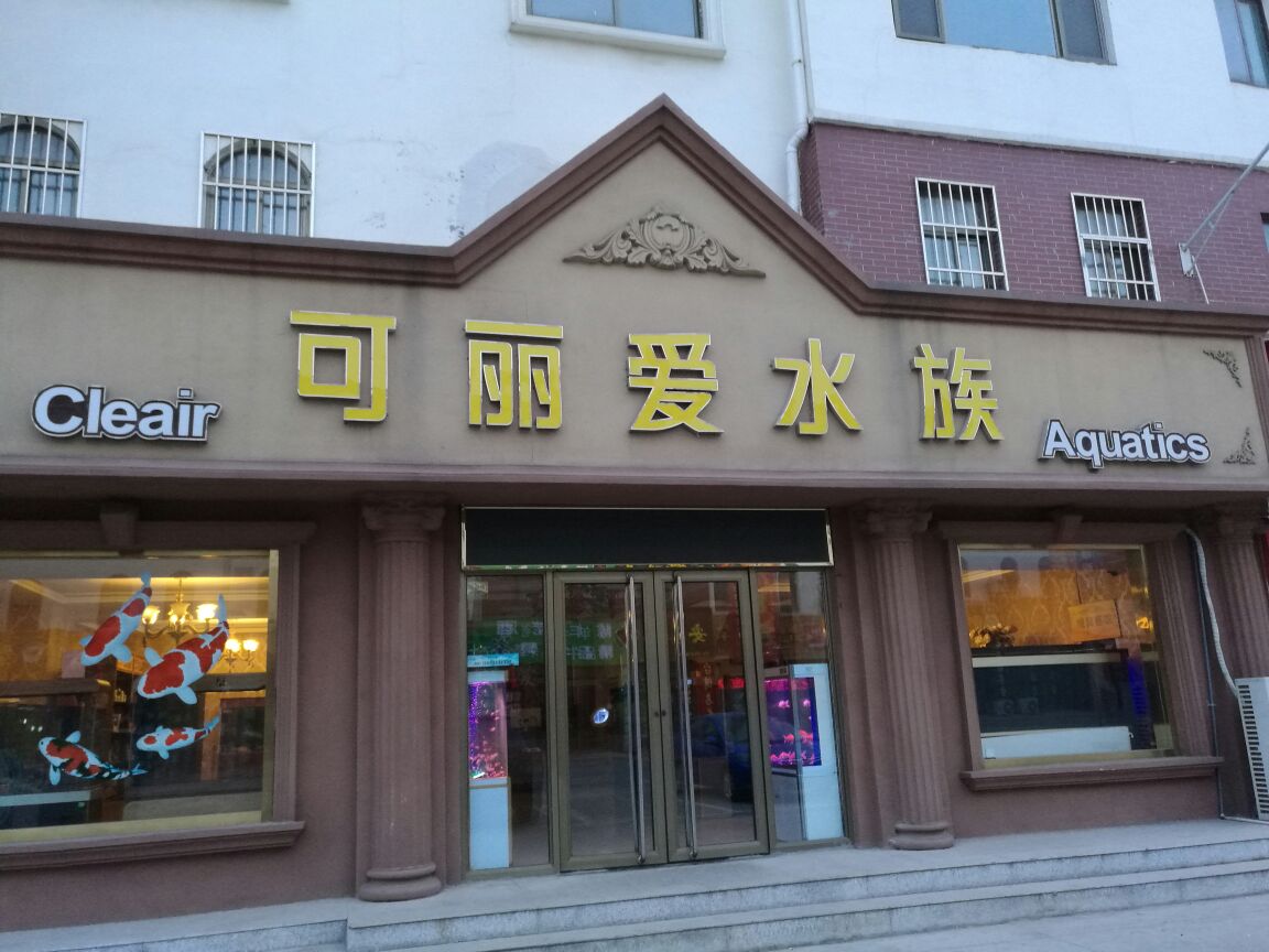 可丽爱水族(德百物流批发城D区店)