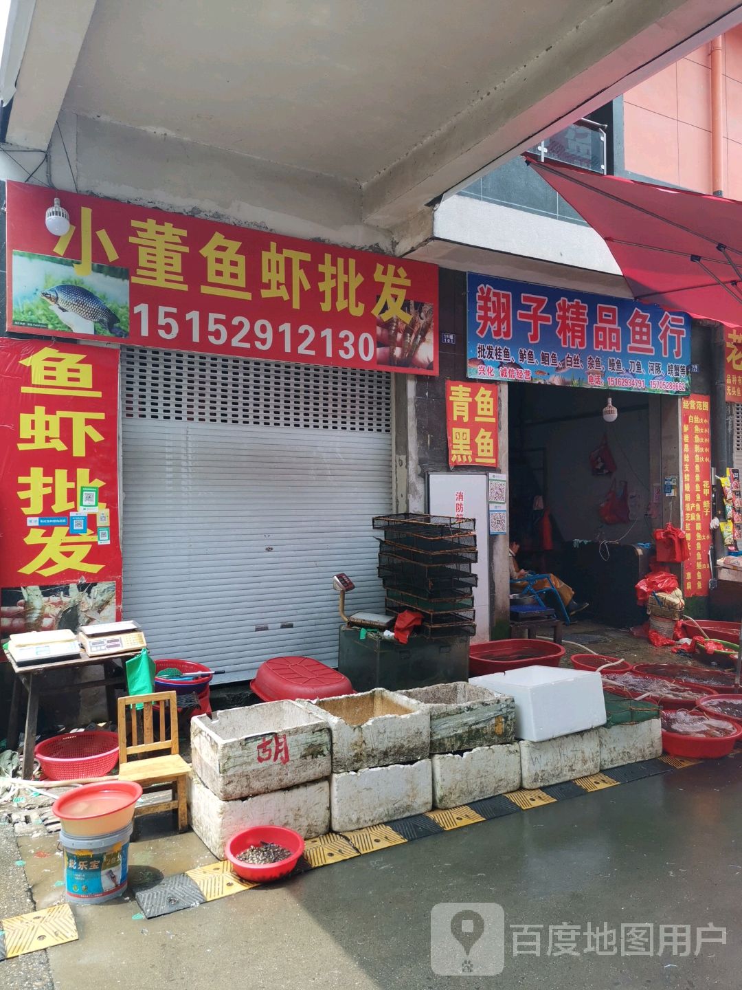 翔子精品鱼行