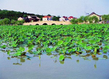 三湾植物园