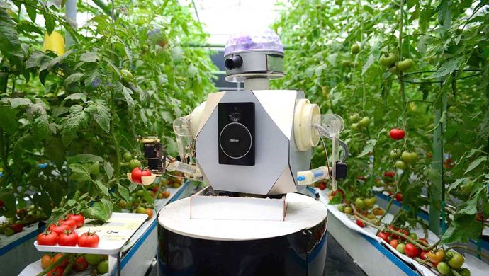 上海点甜机器人智慧农场