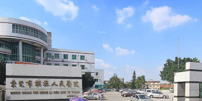 东莞市横沥镇天桥路205号