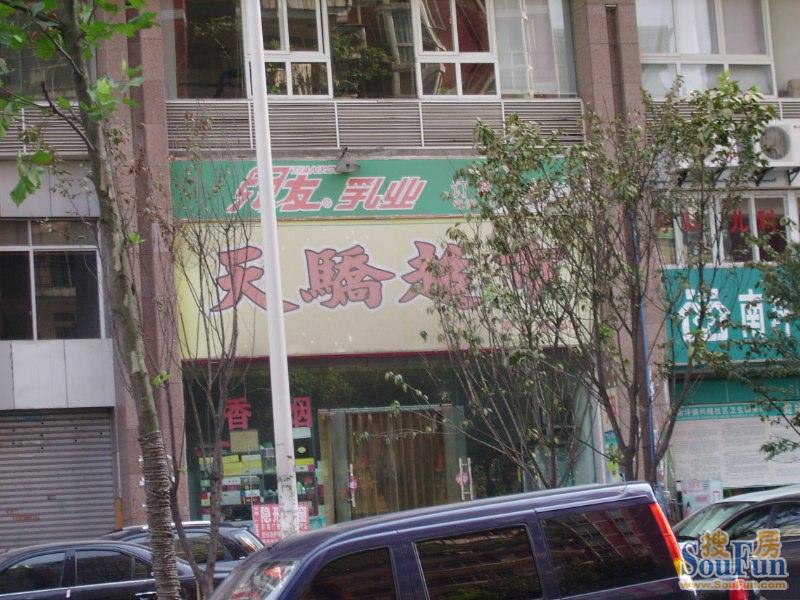 天信双骄