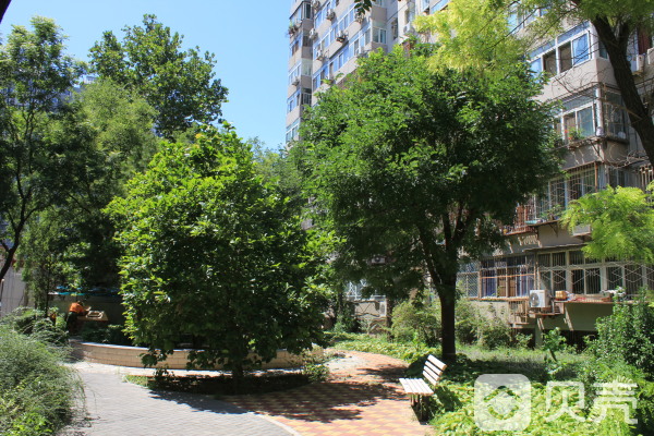 北京市东城区安外大街小黄庄路19号