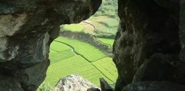 广西壮族自治区南宁市武鸣区