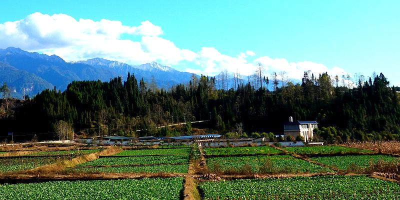 高黎贡山自然保护区