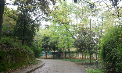 迎丰公园