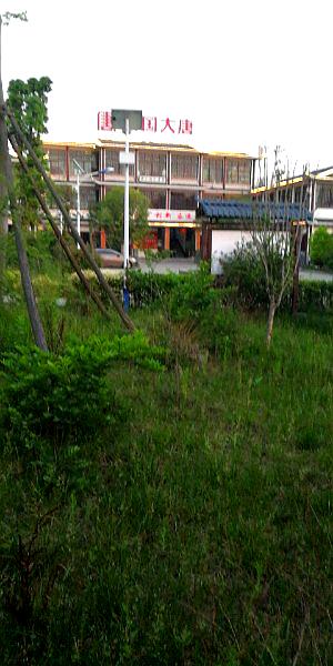 巴铃绿阴河湿池公园