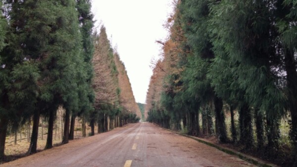 山网坪自驾车露营地