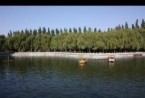 雅致景观大床房（含双人营养早餐）